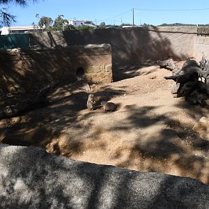 Prairie-Dogs exhibit