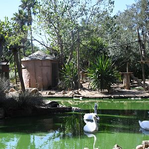 Red Ruffed Lemurs Island