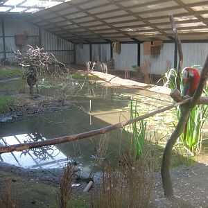 Dyrenes Verden - Free-flight aviary