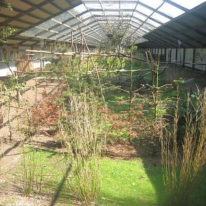 Dyrenes Verden - Free-flight aviary