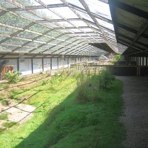 Dyrenes Verden - Free-flight aviary