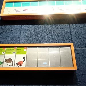 Masoala Rainforest Mammal Signage