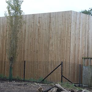 wooden building behind Chimp House 12/10/22
