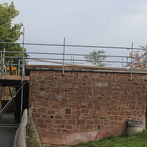 Work on meerkat exhibit 12/10/2022