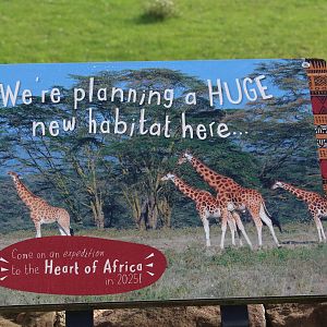 Signage for Heart of Africa 12/10/2022