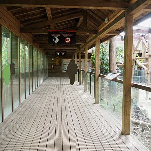 Visitor area in the Koala and Long-nosed potoroo house, 2022-09-15