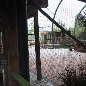 Turtle pond in the Australian aviary, 2022-09-15