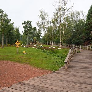 Southern Cape - Emu, Kangaroo and Wallaby walk-through area, 2022-09-15