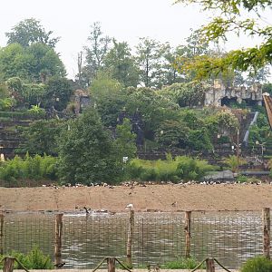View from Southern Cape of Kingdom of Ganesha and  one of new islands covered with geese, 2022-09-15