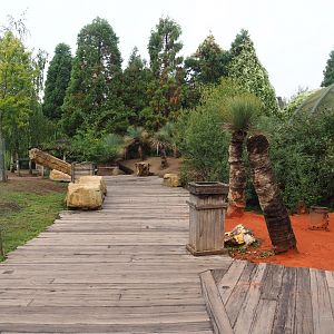 Southern Cape - View of walk-through area, 2022-09-15