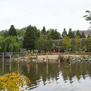 View of Southern Cape Australian area from one of the monkey islands, 2022-09-15
