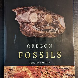 Oregon Fossils