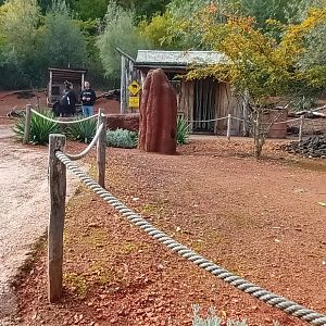 Australia inside the Walkthrough Emu and Bennetts Wallaby Enclosure