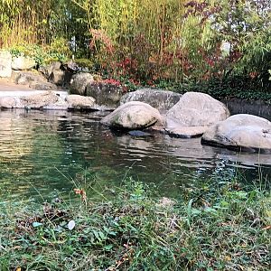 Harbour Seal Enclosure