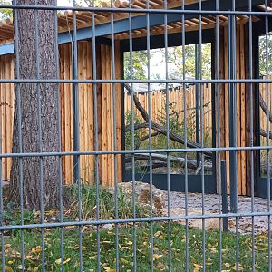 New 2022 Serval Enclosure