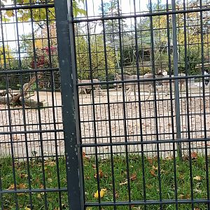 Somali Wild Ass Enclosure