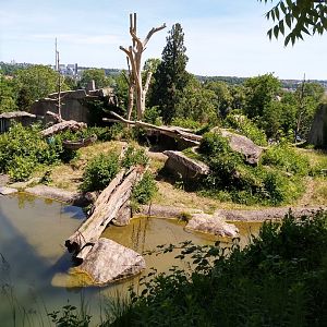 Spectacled bear enclosure