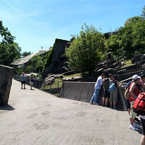 Pathway in the mountain area
