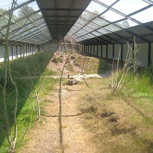 Dyrenes Verden - Free-flight aviary