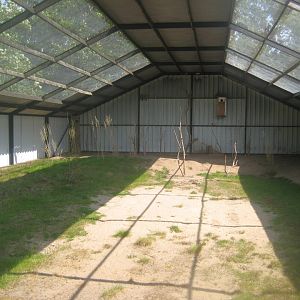 Dyrenes Verden - Free-flight aviary