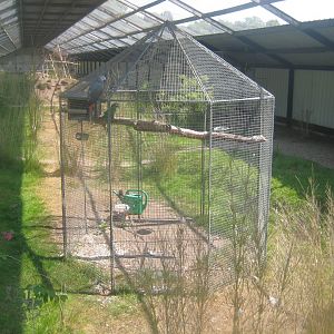 Dyrenes Verden - Free-flight aviary - Macaw aviary