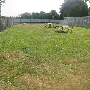 Dyrenes Verden - Lawn with aviaries