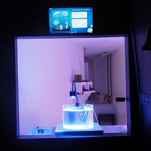 Part of aquatic nursery with upside-down jellyfish raising tank, 2022-09-14