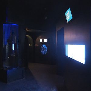 View in Nautilus near aquatic nursery, 2022-09-14