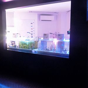 Aquatic nursery, 2022-09-14
