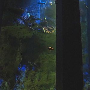 Tall tank in the smaller staircase, 2022-09-14