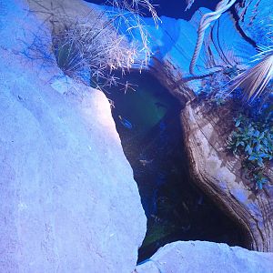 Top of the smaller staircase tank, 2022-09-14