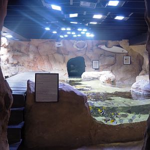 Room with open-topped reef tank, rock pool tanks and cave tank, 2022-09-14
