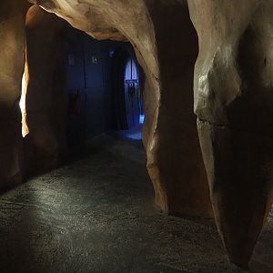 View in the Nautilus aquarium, 2022-09-14