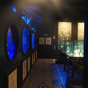 Area with jellyfish tanks and specimen display cabinets, 2022-09-14