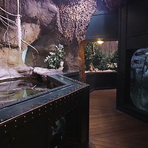 Brackish water and South American freshwater tanks, 2022-09-14