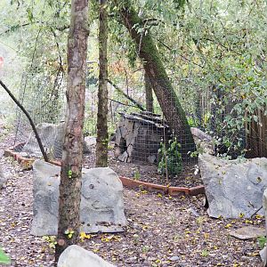 African penguin nesting area with separated zone, 2022-09-15