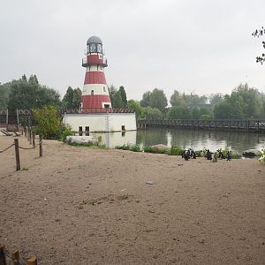 African penguin and Harbor seal area with beach, lake, lighthouse, train bridge and walkways, 2022-09-15