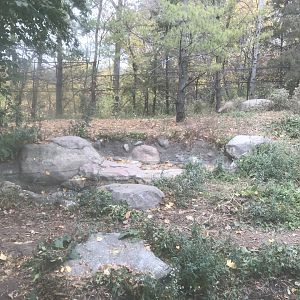 Minnesota Trail - Gray Wolf Exhibit