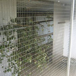 Dyrenes Verden - Possum exhibit