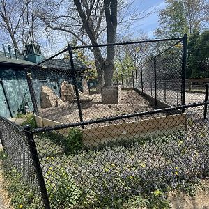 Outdoor Aardvark Exhibit (5/2/21)