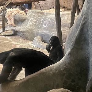 Qasai and Claudine (5/23/22)