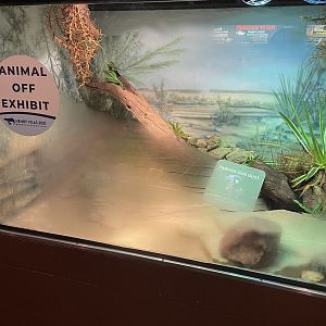 Under Construction (8/19/22)