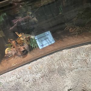 Under Construction (8/19/22)