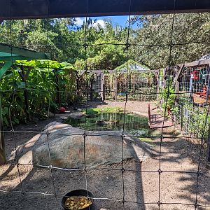 Horsepower for Kids  - Capybara