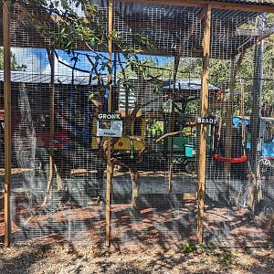 Horsepower for Kids - Kinkajou enclosure