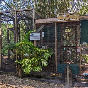 Horsepower for Kids - black and white ruffed lemur enclosures