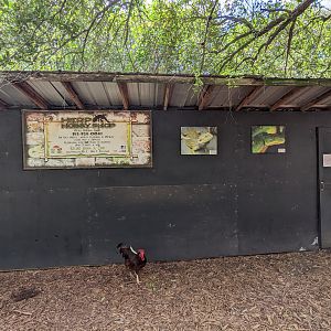 Horsepower for Kids - Herp House