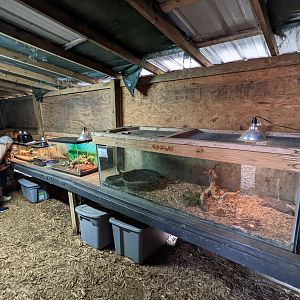 Horsepower for Kids - Herp house interior