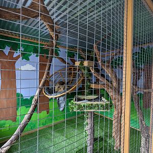 Horsepower for Kids - Sloths