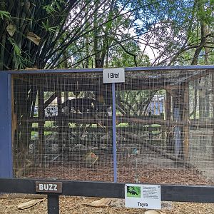 Horsepower for Kids  - Tayra